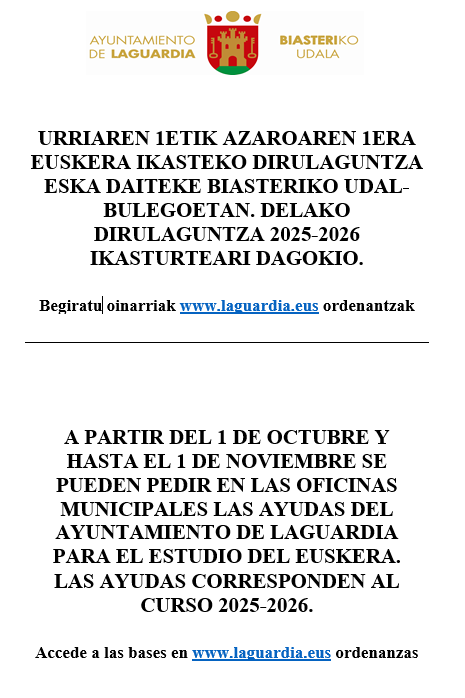 becas euskera